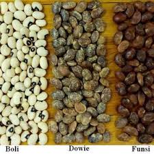 Image result for Macrotyloma africanum
