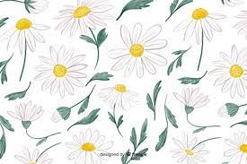 We did not find results for: Daisy Images Free Vectors Stock Photos Psd