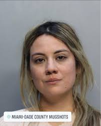 CHAPARRO-VILLAMIZAR, JENNIFER DOB 11/07/1994 30 F Charges RESISTING OFFICER  WITHOUT VIOLENCE TO HIS PERSON ( Bond: 500 )