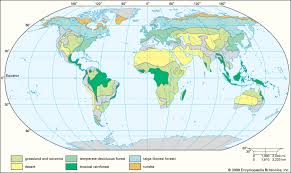 Try these fun learning activities and games for 3rd graders. Biome Kids Britannica Kids Homework Help