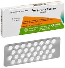 It's also used to treat hepatic coma, which is the loss of brain. Incurin Tablets Merck Animal Health Usa