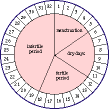 The menstrual cycle refers to the regular changes in the activity of the ovaries and the endometrium that make reproduction. Is It Possible To Get Pregnant On The Same Day As An Expected Menstrual Cycle If You Are Irregular Quora