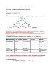 macromolecule worksheet docx macromolecule worksheet 1