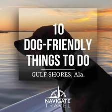 Maybe you would like to learn more about one of these? Top 10 Dog Friendly Things To Do In Gulf Shores Alabama Navigate Content