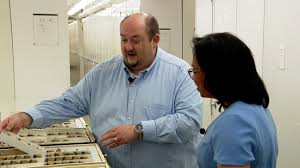 The largest cicada collection in the world is here at DC's National Museum  of History