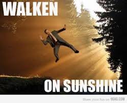 Pin By Jill Passen On Funny Shit Funny Puns Walken Funny Pictures