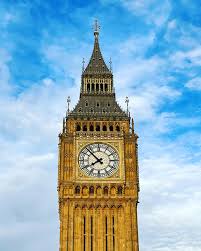 Profile for Scott Walhovd