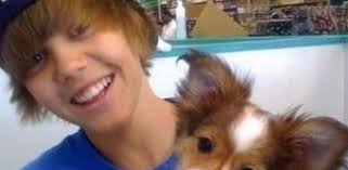Изучайте релизы sammy cahn на discogs. Muere Sammy El Perro De Justin Bieber Y Sus Fans Lloran Sin Consuelo
