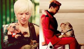 11 Idols Who Have Proven That They Will Always Be There For Their Best Friend G Dragon Best Friends Korean Idol