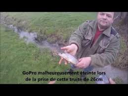 Ouverture De La Truite 2018 Peche Au Vers De Terre En Eau Teinte Youtube