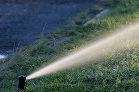 Deine fragen, die du dir selbst stellen solltest, um dein passendes produkt zu finden. Bewasserungssysteme Fur Den Garten