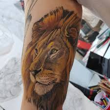 Our lobby is home to an amazing collection of hand painted flash, custom artwork, tattoo memorabilia, and taxidermy. Bdc Tattoo And Piercing Studio Downtown Lawrence Ks