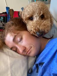 Big girls also take naps, Kokona (@sakumogain