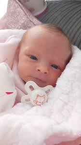 Natalie Wren Costilow 🦆🐥 She was born yesterday (3/26) morning at 10:42  am. Mom and baby are doing great, they are both sleeping as I type this.  Theresa was a super trooper