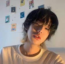 Aestheqa In 2021 Mullet Hairstyle Korean Short Hair Aesthetic Hair