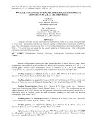 Image result for Dinebra caudata