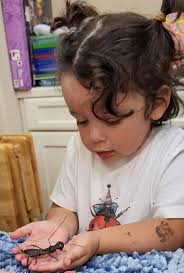 Any crocodilians ? Let me know !