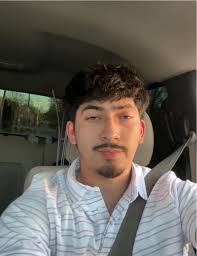 What companies can pick up and haul away yard waste in Grandville?