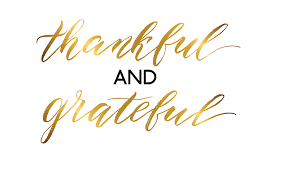 Image result for Gratitude"