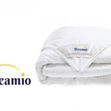 Dreamio 4 Seizoenen Dekbed 90 Dons