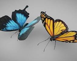 Monarch Butterfly 3d Model Monarch Butterfly Beautiful Butterflies Monarch