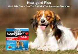 ®flavortabs is a registered trademark of novartis ag. Side Effects Of Heartgard Plus To Your Pet Jan 2020 Updated