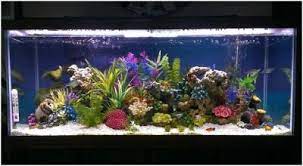 4.5 out of 5 stars 2. Top Fin Stone Coral Bubbler Aquarium Ornament Fresh Water Fish Tank Aquarium Fish Tank Aquarium
