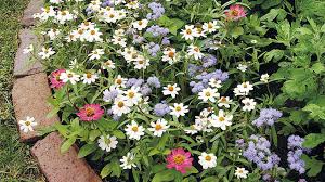 You'll need a trench to house your brick edging, so now you must do some digging. How To Install Brick Edging In Your Garden Garden Gate