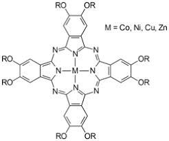 Image result for Combretum psidioides