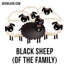 Hi There Our Idiom Of The Day Is Black Sheep Of The Family Which Means Someone Who Is Thought To Be A B Black Sheep Idioms Black Sheep Of The Family