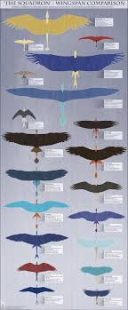 Personal Wingspan Comparison Reference By Twilightsaint
