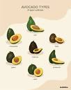 Image result for what are avocados health benefits