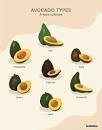 Image result for what are the benefits of avocados