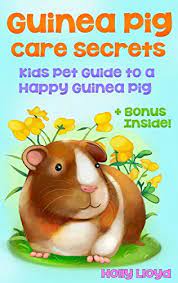 Pin On Guinea Pigs