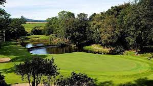 Pin On Druids Glen