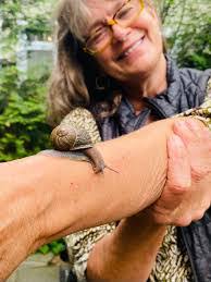 Alexander Truitt's Instagram, Twitter & Facebook