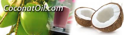 Image result for free images of coconuts and oil