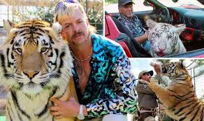 Lions and tigers and bears, oh my! Tiger King Exposed Why Netflix Show S Big Cat Zoos Are For Profit And Not Conservation Tv Radio Showbiz Tv Express Co Uk