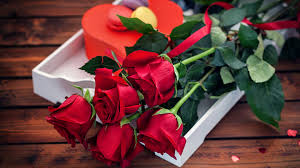 Rouge, blanc, rose, violet, mauve … vous n'avez que l'embarras du choix. Wallpaper Red Rose Flowers Bouquet Gift Romantic 1920x1200 Hd Picture Image