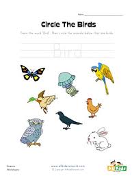 Circle The Birds Worksheet All Kids Network