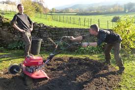 Lovisa Paysagiste Macon S Photos Lovisa Paysagiste Macon Entretien Jardin Paysagiste Jardins