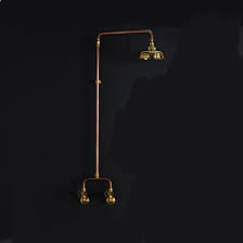 They are sealed to prevent water from entering and they also are made from components that will not rust. Astrawalker Eden Exposed Outdoor Shower Set Sydney Outdoor Shower