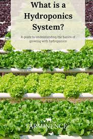 Hydroponics Systems For Beginners A Guide To Understanding Hydroponic Growing Beginners Growing Guide Hyd Hydroponics System Hydroponic Growing Hydroponics