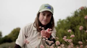 PALOS VERDES PENINSULA LAND CONSERVANCY