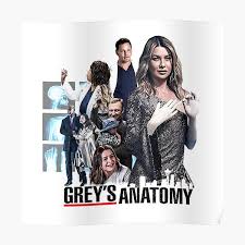 Throughout the series, meredith goes through professional and personal challenges along with fellow surgeons at seattle grace hospital. Greys Anatomy Posters Redbubble