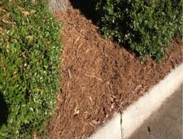 A overly upper class town. Garden Landscape Much Delivery Friendly Tree Service