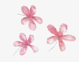 Here you can find different types of flower pictures, among them red flowers, white flowers, rose flowers, spring flowers, flower wallpapers and other flower images. Pink Hand Painted Small Flower Transparent Portable Network Graphics 1024x754 Png Download Pngkit