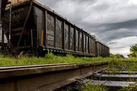 Adjudican tramo 5 del tren maya a consorcio que incluye a constructora española. Mexico S Tren Maya Railway Fat Jaguars Vs Starving Babies Latin America Bureau