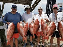 Top fishing charters & tours in gulf shores, al. Gulf Shores Al Fishing Fishanywhere