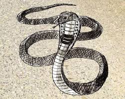 Open Mouth Realistic Snake Drawing Anaconda sketch at paintingvalley.com | explore collection. best way drawing blogger